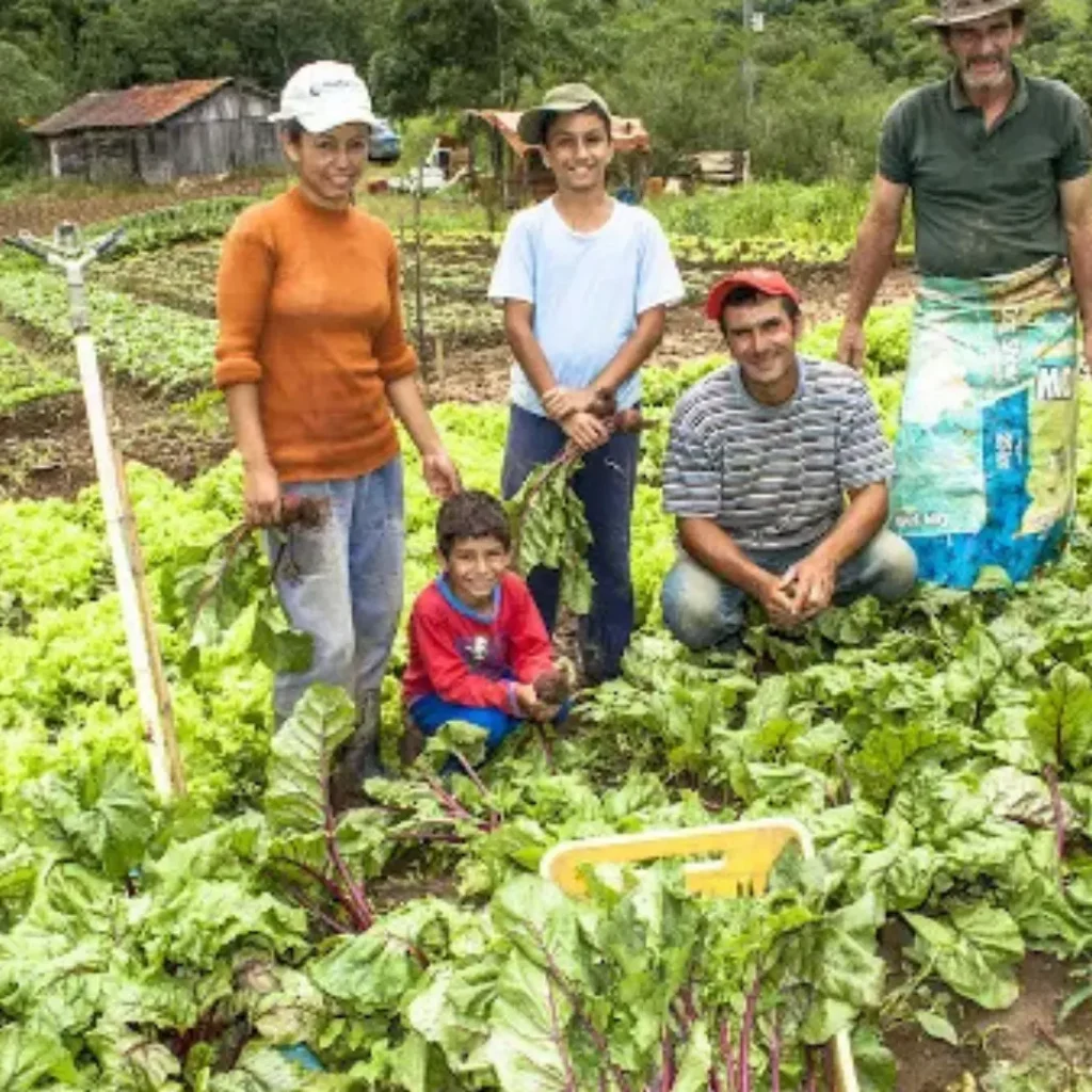 AGRIFAQ PRODUÇÃO DOS ASSOCIADOS 1